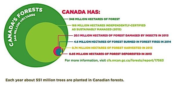 Forestry-Products-Association-Canada-greenhouse-gas-Carbon-footprint-Paris-agreement-climate-change-EDIWeekly