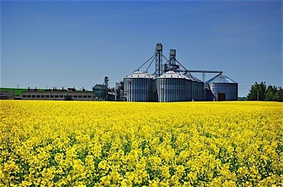 oilseed-milling-food-production-agriculture-manufacturing-statistics-canada-july-2016-ediweekly